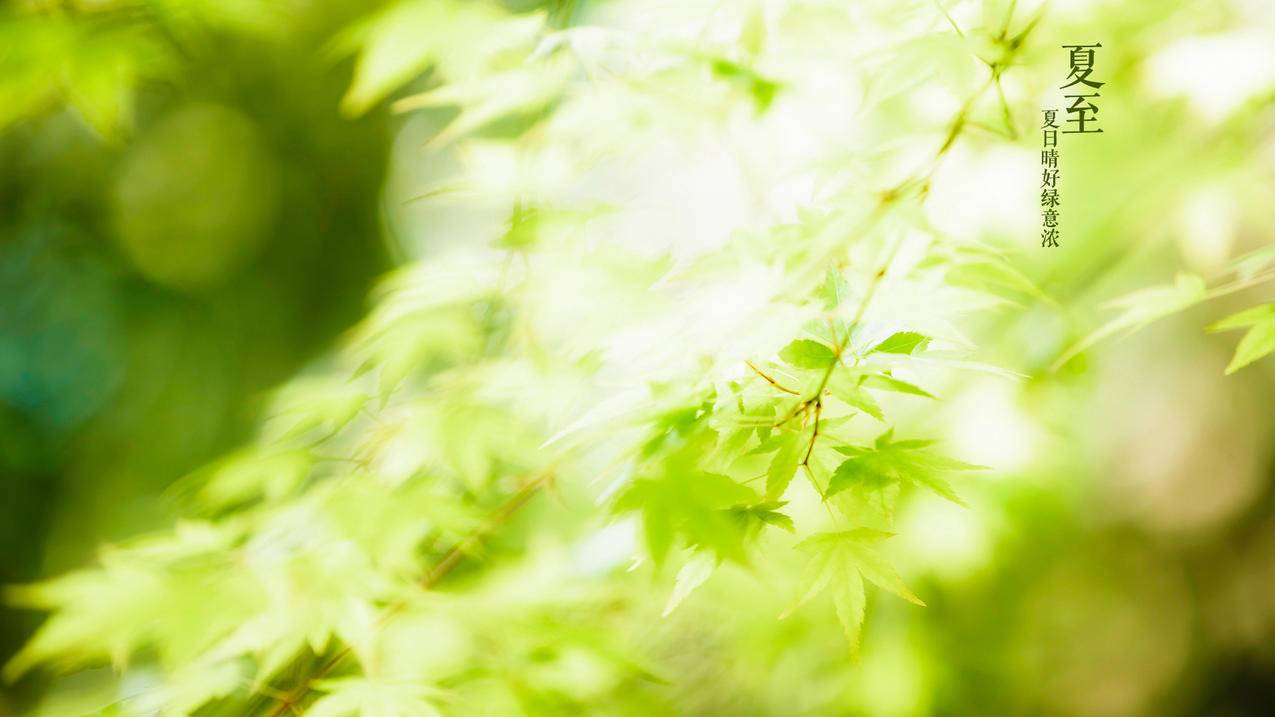 ks5000 赞最便宜的网站|抖音24小时业务平台超低价|快手业务网站平台24小时服务